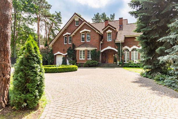 Best Custom Driveway Pavers  in Cedar Springs, MI