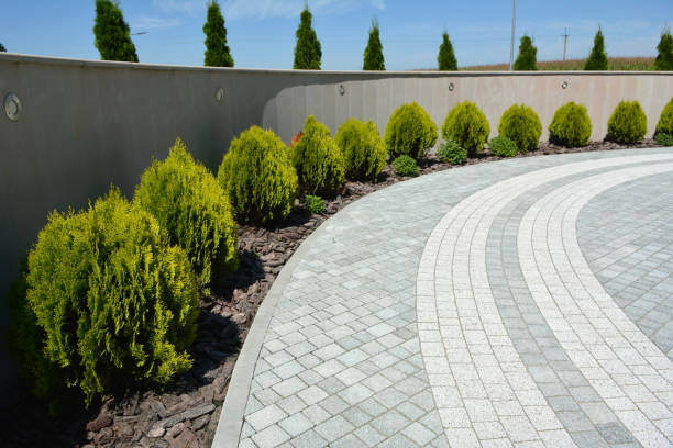 Best Residential Paver Driveway  in Cedar Springs, MI