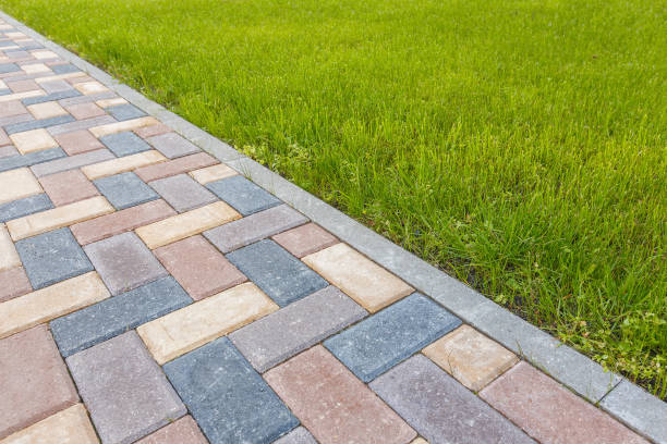 Best Commercial Driveway Pavers  in Cedar Springs, MI
